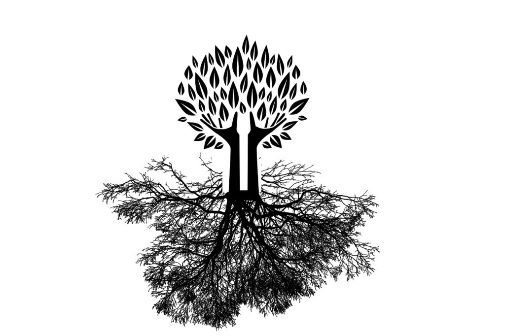 tree, hands, root